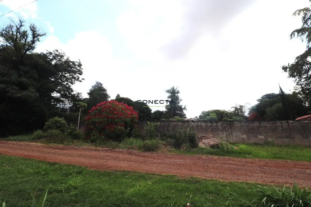 Terreno, 2896 m² - Foto 5