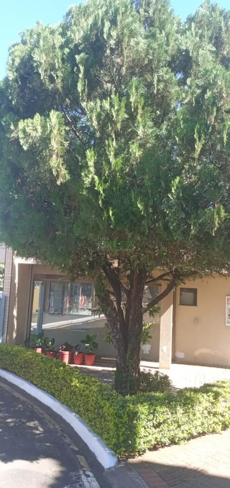 Apartamento, 3 quartos, 60 m² - Foto 4