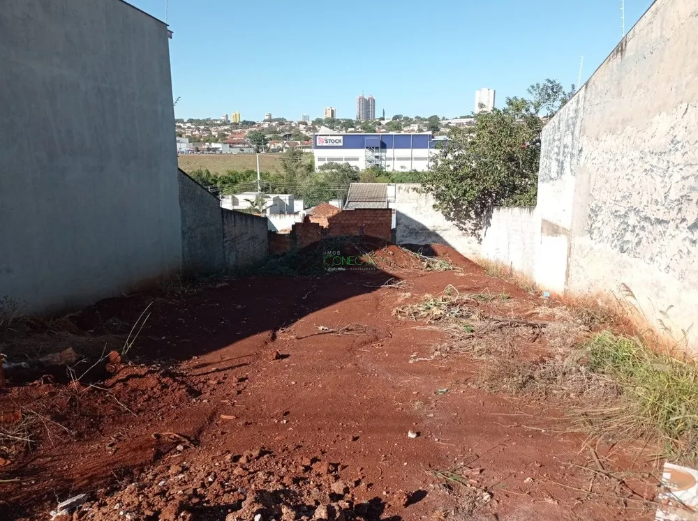 Terreno, 250 m² - Foto 2
