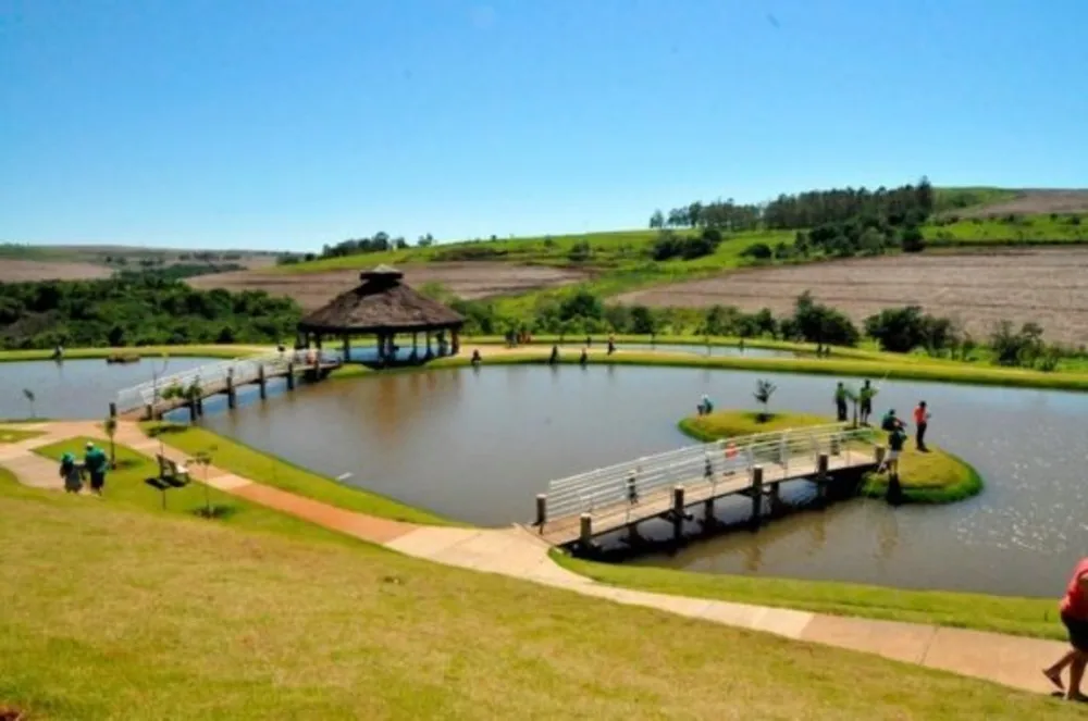 Terreno, 1500 m² - Foto 8