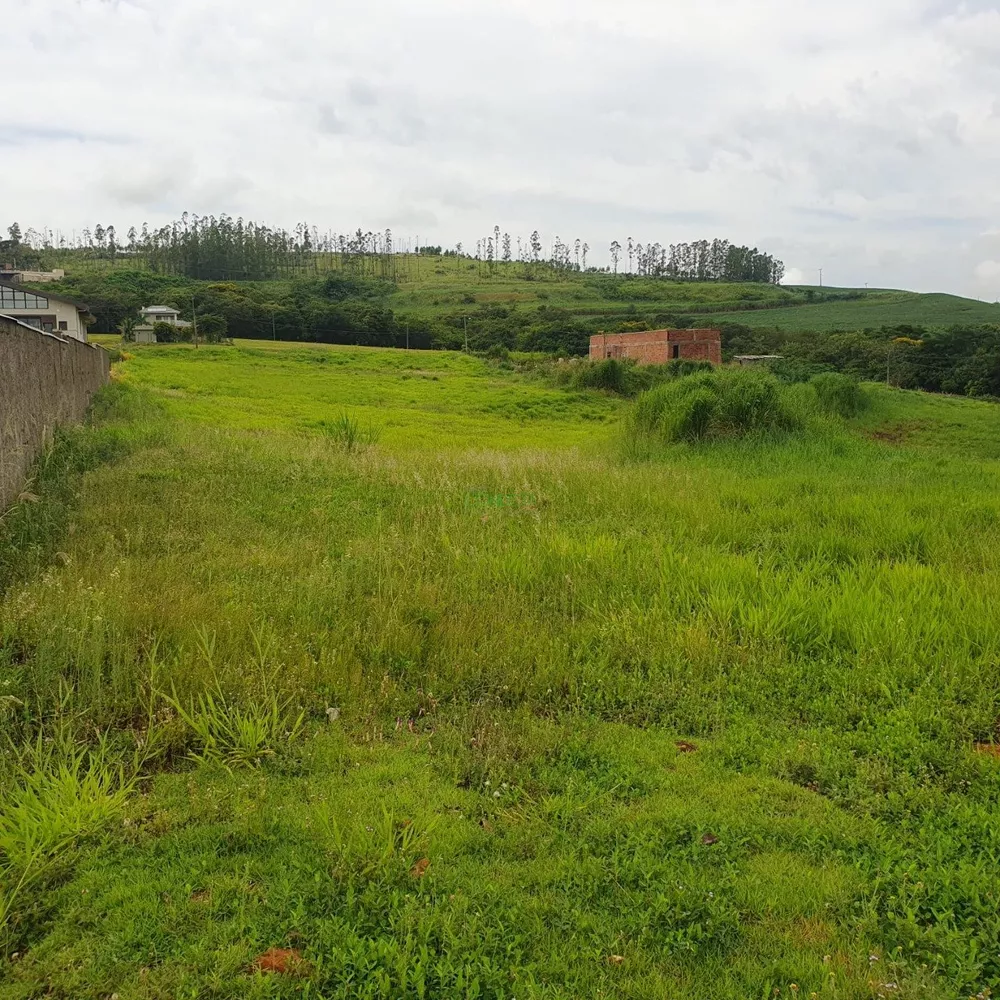 Terreno, 1500 m² - Foto 4