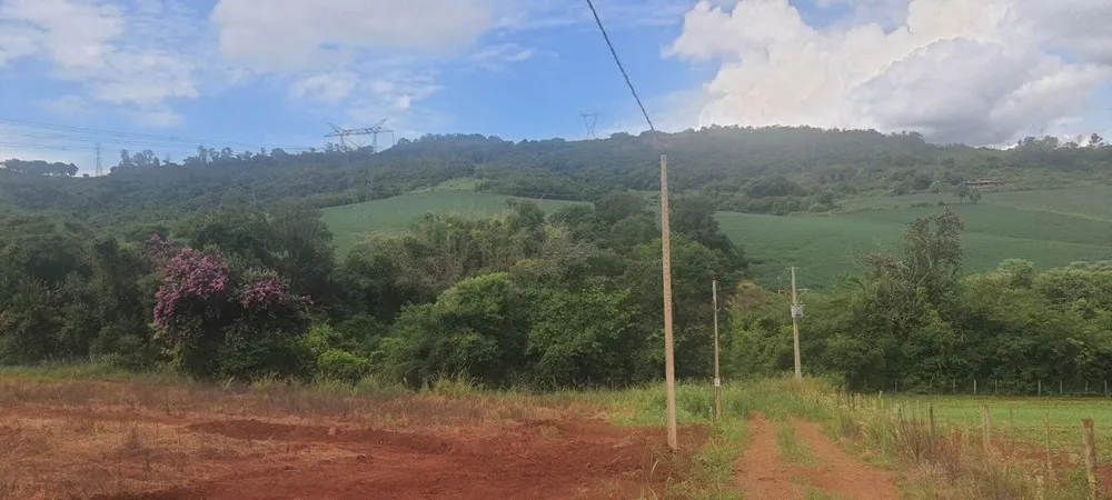 Chácara, 4000 m² - Foto 2