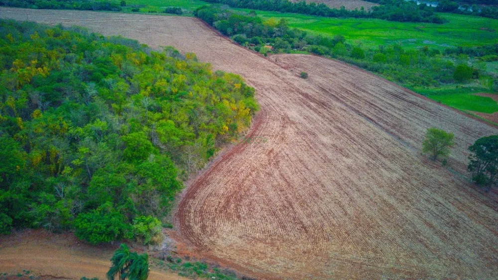 Chácara, 2 hectares - Foto 4