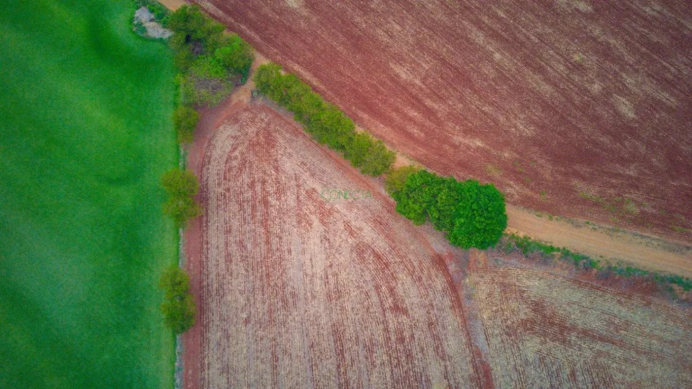 Chácara, 2 hectares - Foto 10