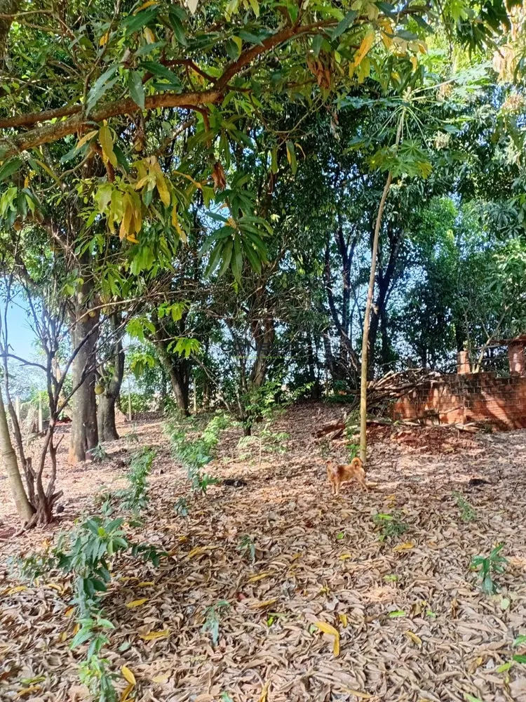 Chácara, 5000 m² - Foto 8
