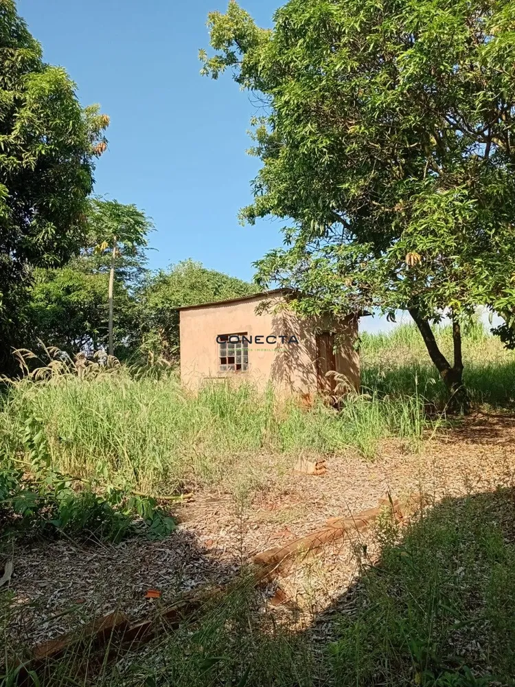 Chácara, 5000 m² - Foto 10