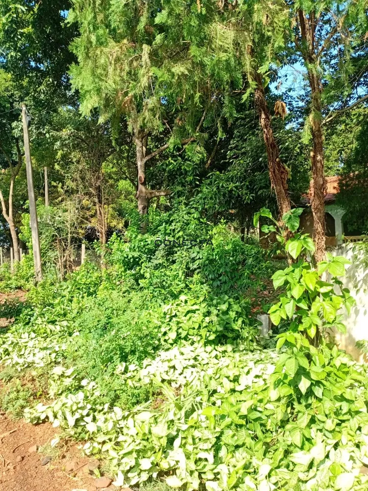 Chácara, 5000 m² - Foto 12