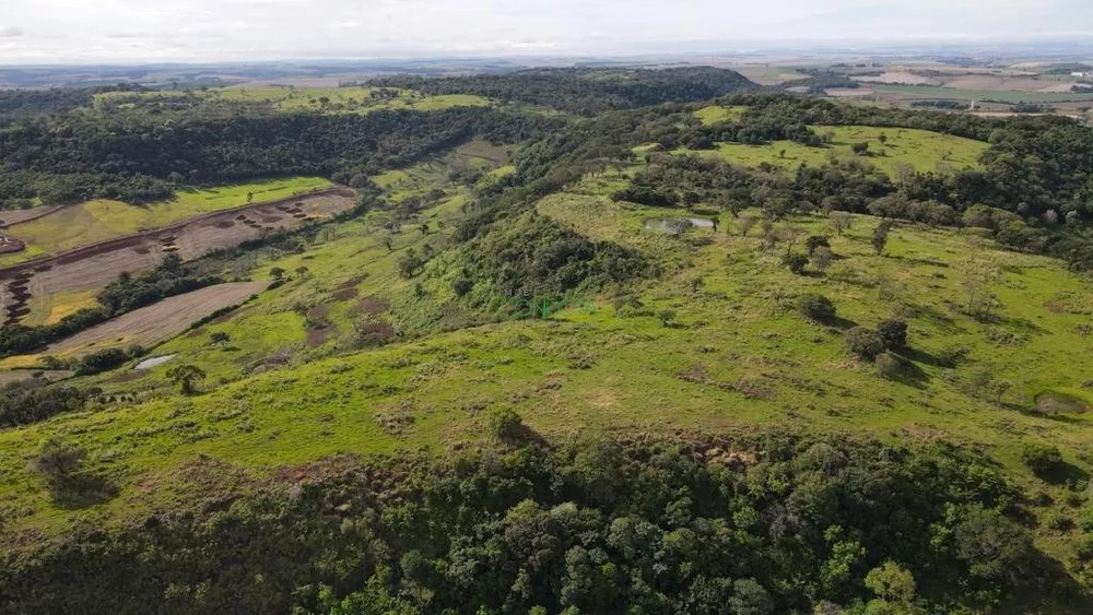 Sítio, 114 hectares - Foto 2