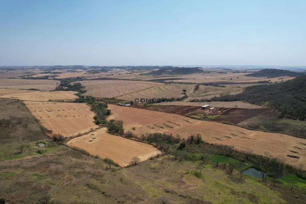 Sítio, 114 hectares - Foto 15