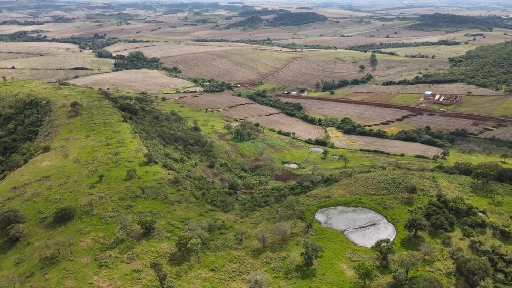 Sítio, 114 hectares - Foto 3