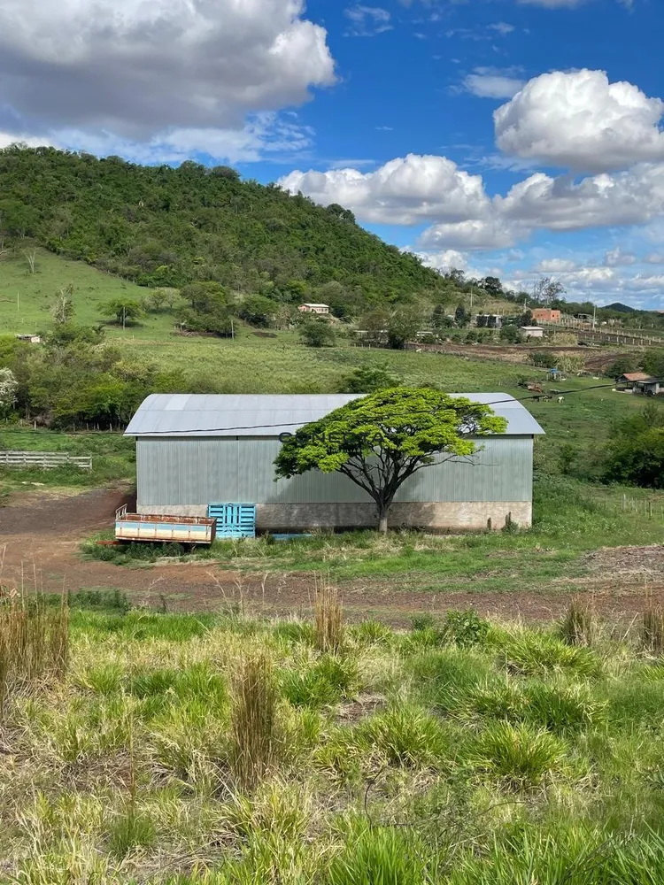 Sítio, 114 hectares - Foto 16