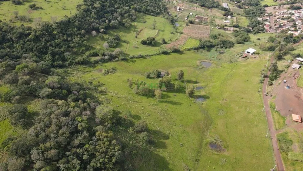 Sítio, 114 hectares - Foto 7