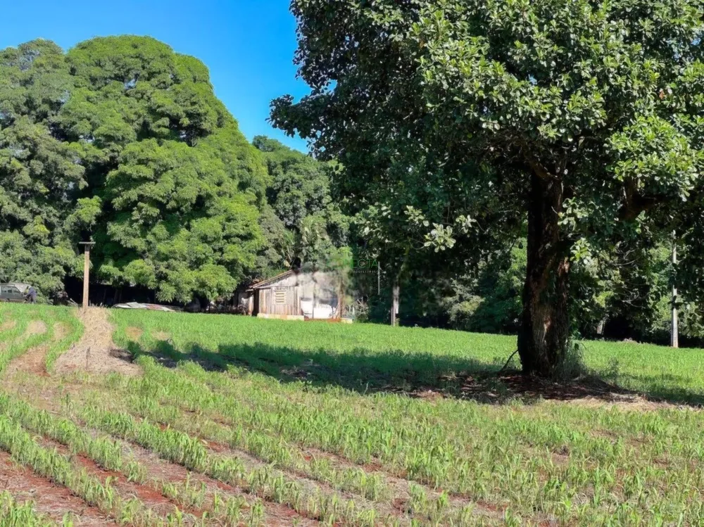 Terreno, 1 hectares - Foto 7