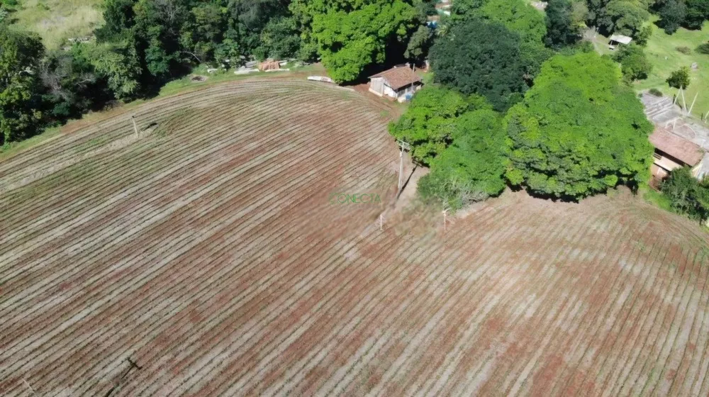 Terreno, 1 hectares - Foto 4