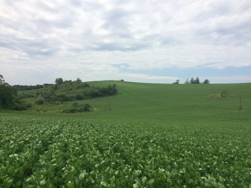 Sítio, 24 hectares - Foto 2