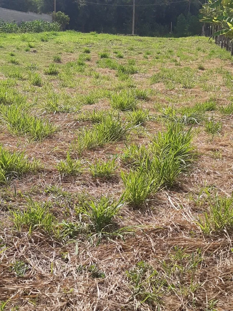 Terreno, 2500 m² - Foto 3