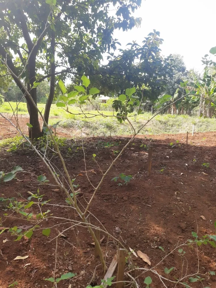 Terreno, 2500 m² - Foto 1