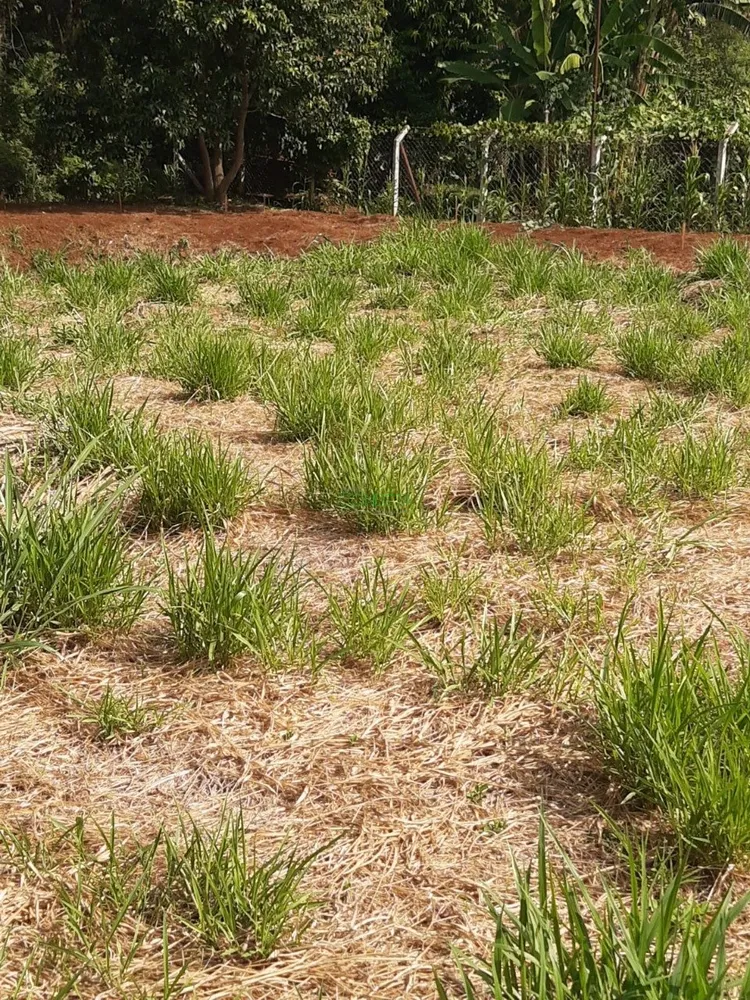 Terreno, 2500 m² - Foto 5