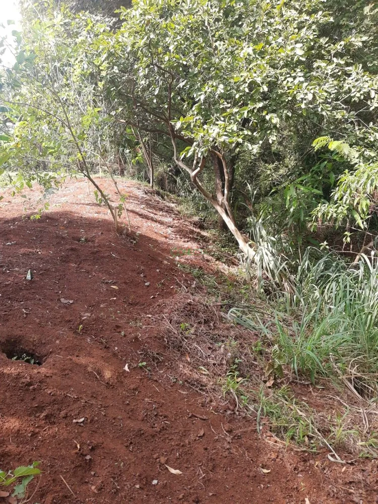 Terreno, 2500 m² - Foto 6