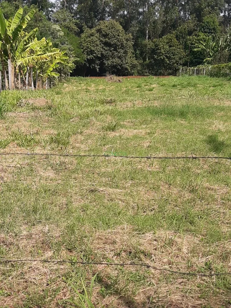 Terreno, 2500 m² - Foto 7