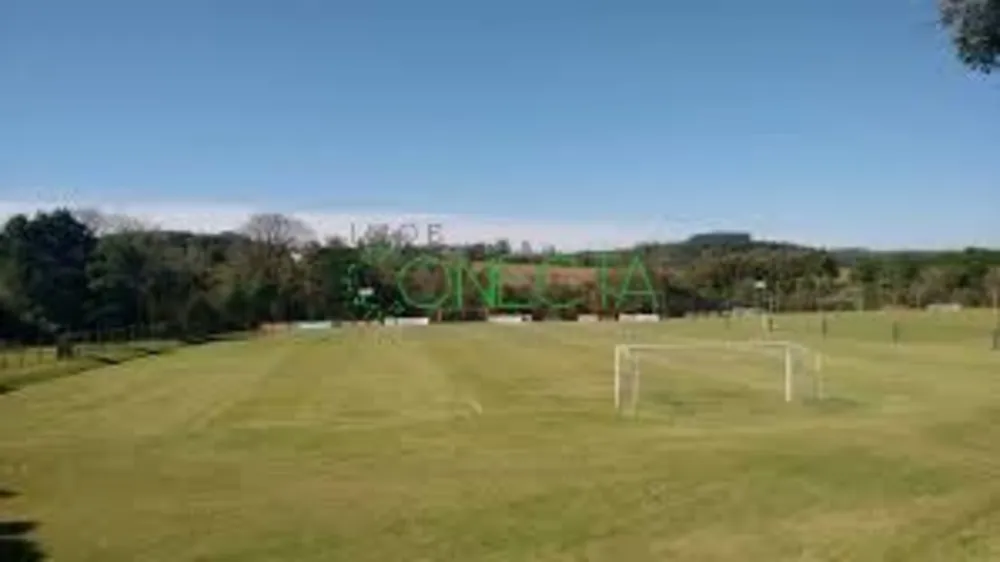Terreno, 16 hectares - Foto 4