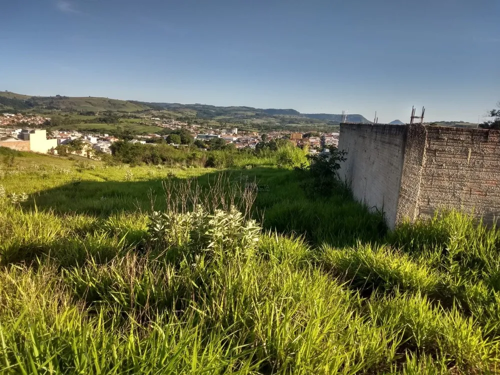 Terreno, 4 hectares - Foto 3