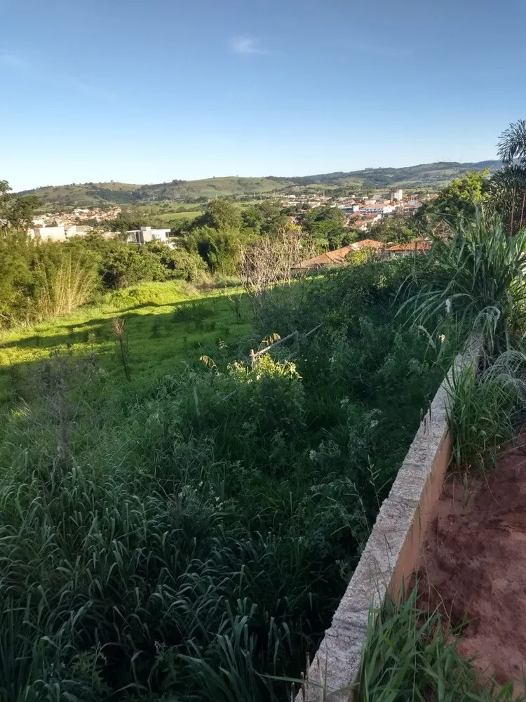 Terreno, 4 hectares - Foto 6