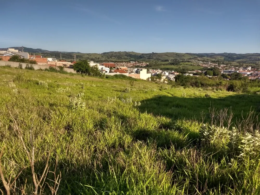 Terreno, 4 hectares - Foto 7
