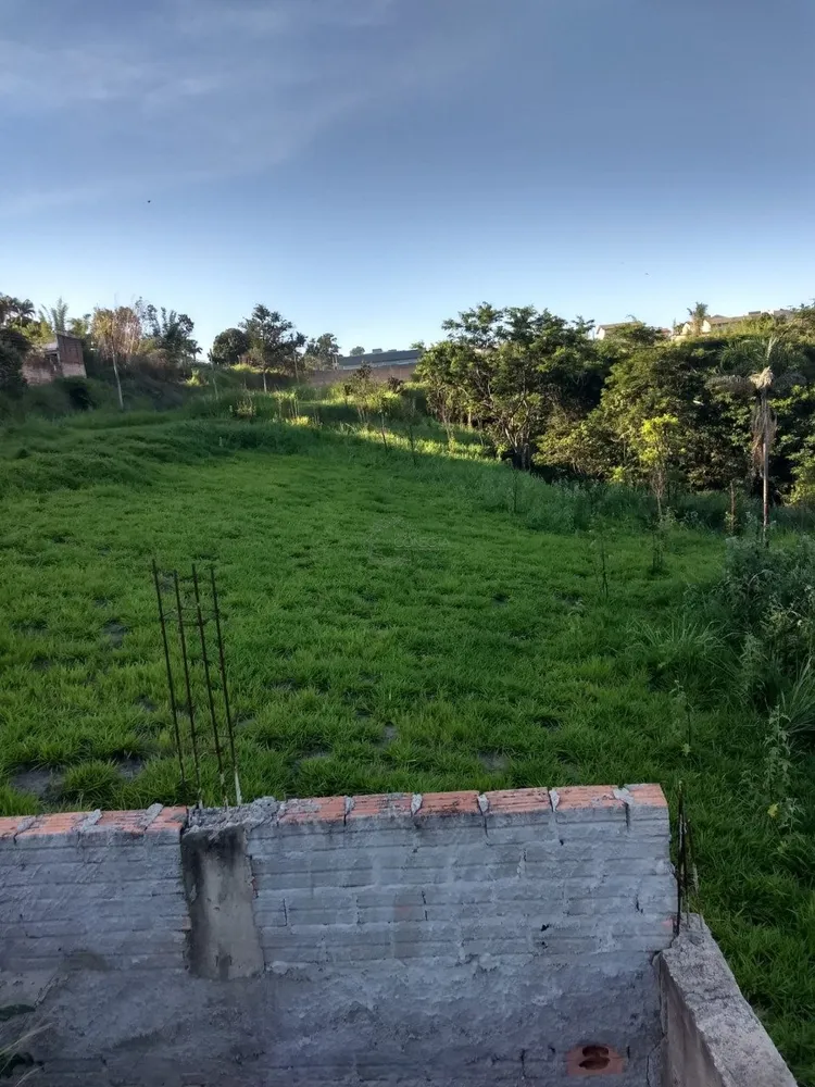 Terreno, 4 hectares - Foto 8