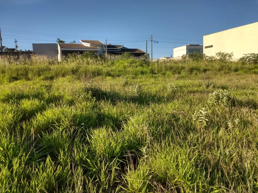 Terreno, 4 hectares - Foto 4