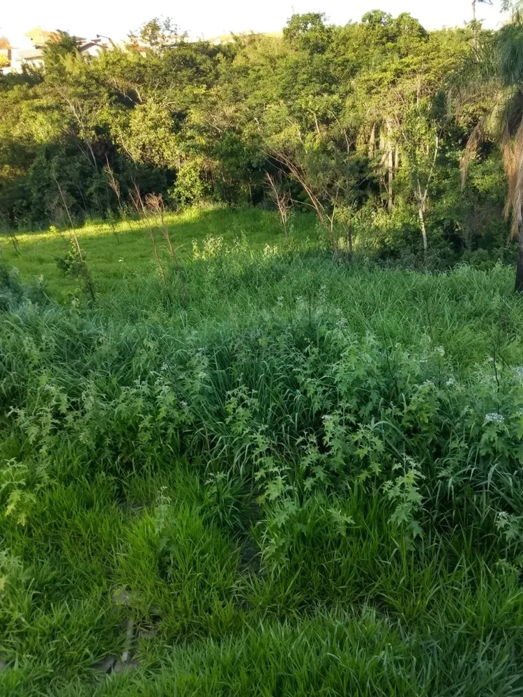 Terreno, 4 hectares - Foto 2