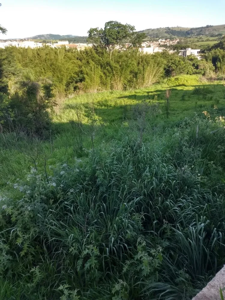Terreno, 4 hectares - Foto 5