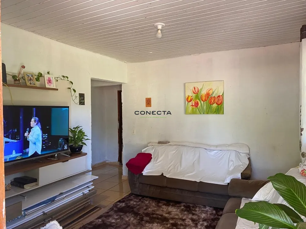 Chácara, 2 quartos, 5446 m² - Foto 4