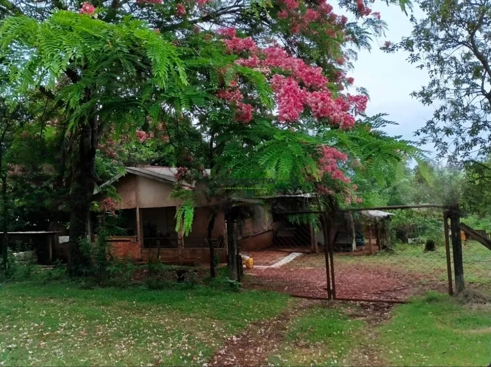 Chácara, 2 quartos, 5446 m² - Foto 1