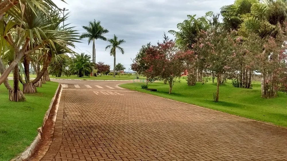 Terreno, 1250 m² - Foto 1