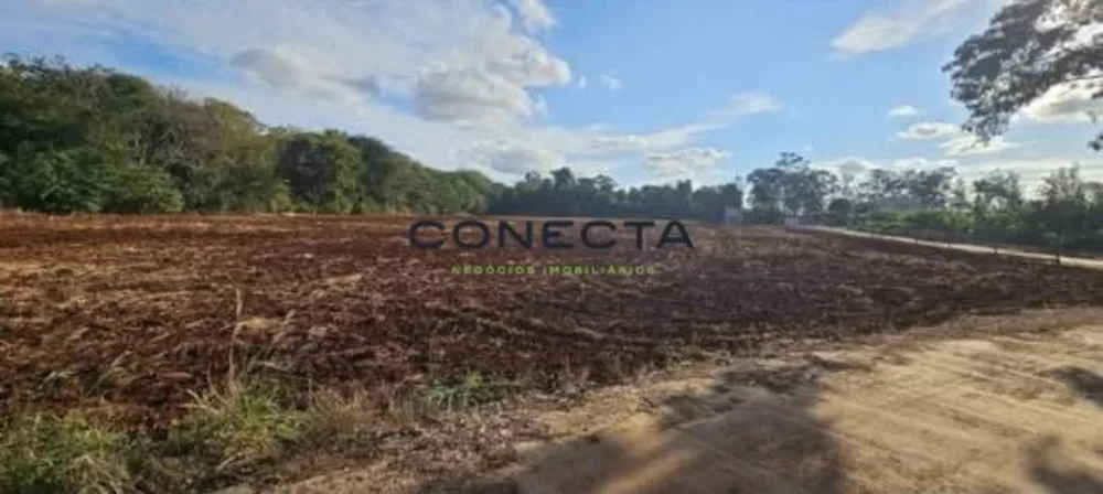 Terreno, 1 hectares - Foto 3