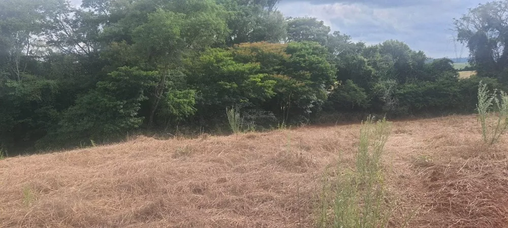 Chácara, 5721 m² - Foto 3