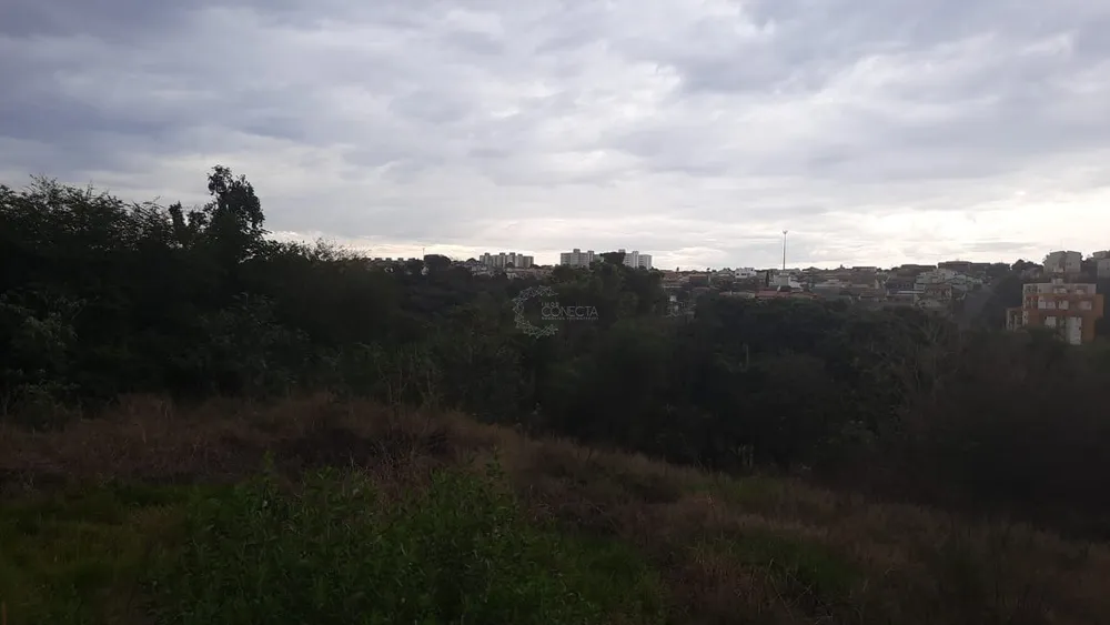 Terreno, 9142 m² - Foto 4