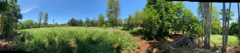 Chácara, 2 hectares - Foto 1