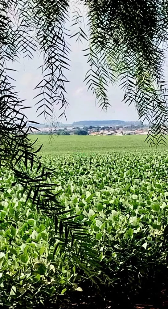 Sítio, 17 hectares - Foto 3