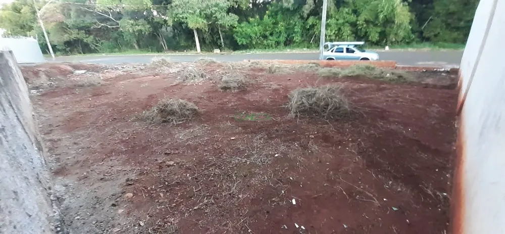 Terreno, 242 m² - Foto 5