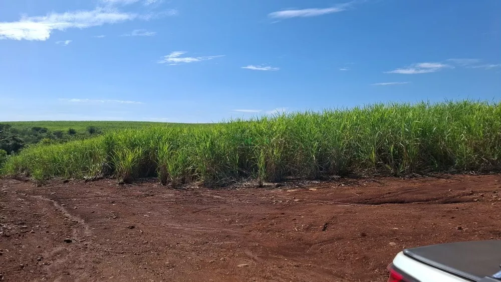 Fazenda, 365 hectares - Foto 1