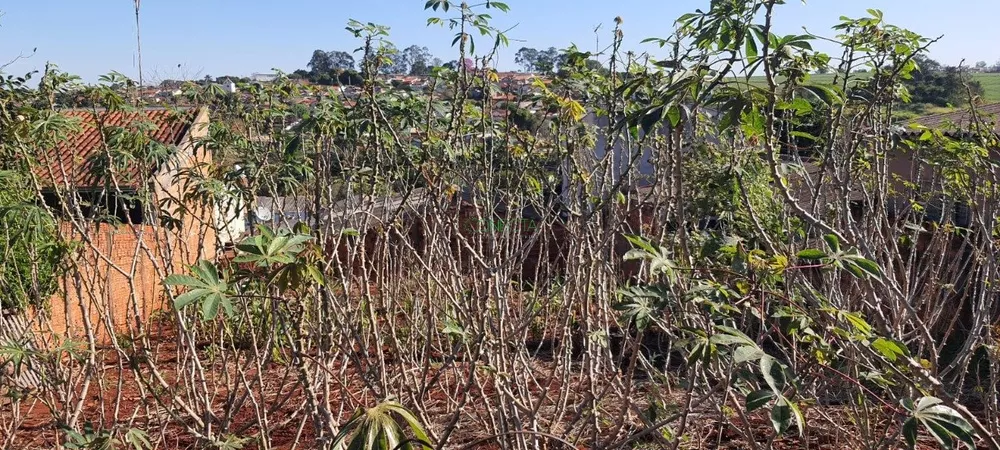 Terreno, 300 m² - Foto 2