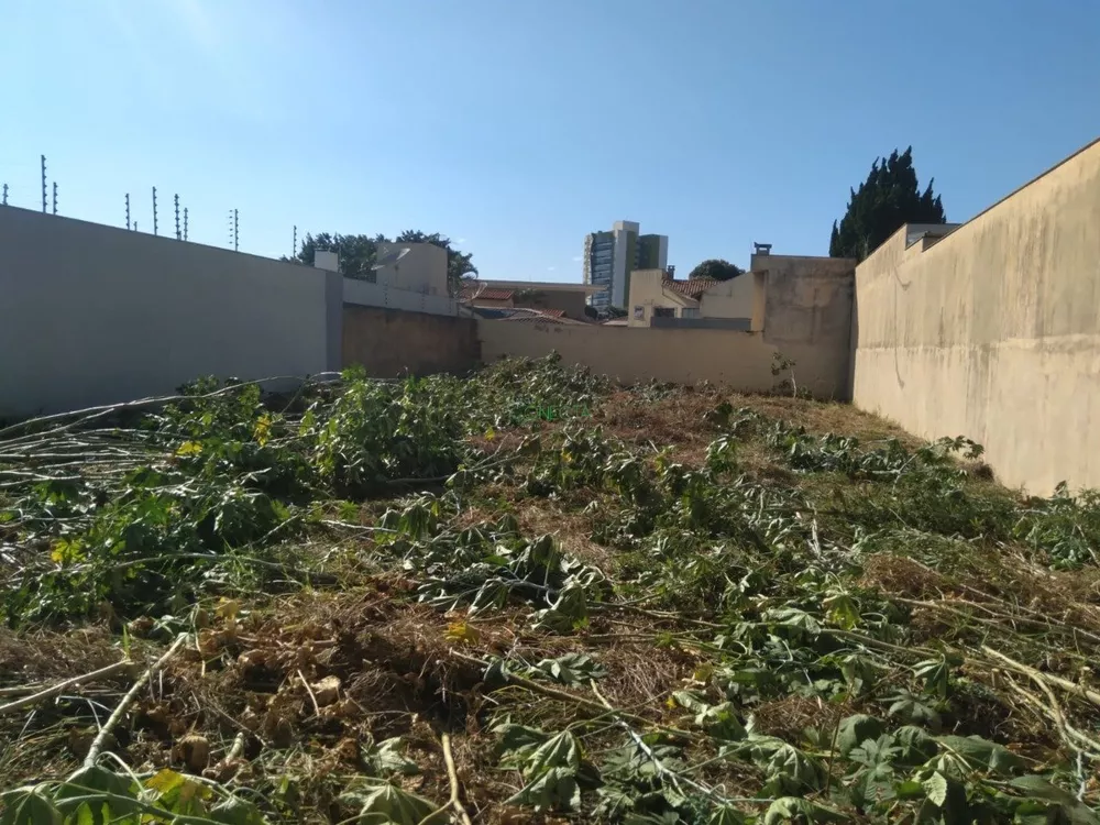 Terreno, 618 m² - Foto 2