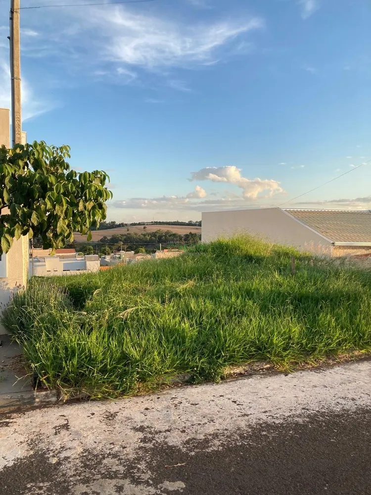 Terreno, 300 m² - Foto 4