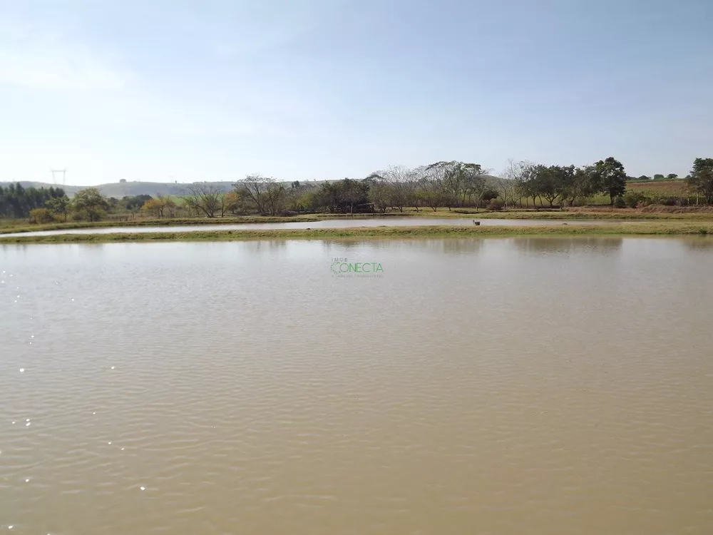 Fazenda, 34 hectares - Foto 2