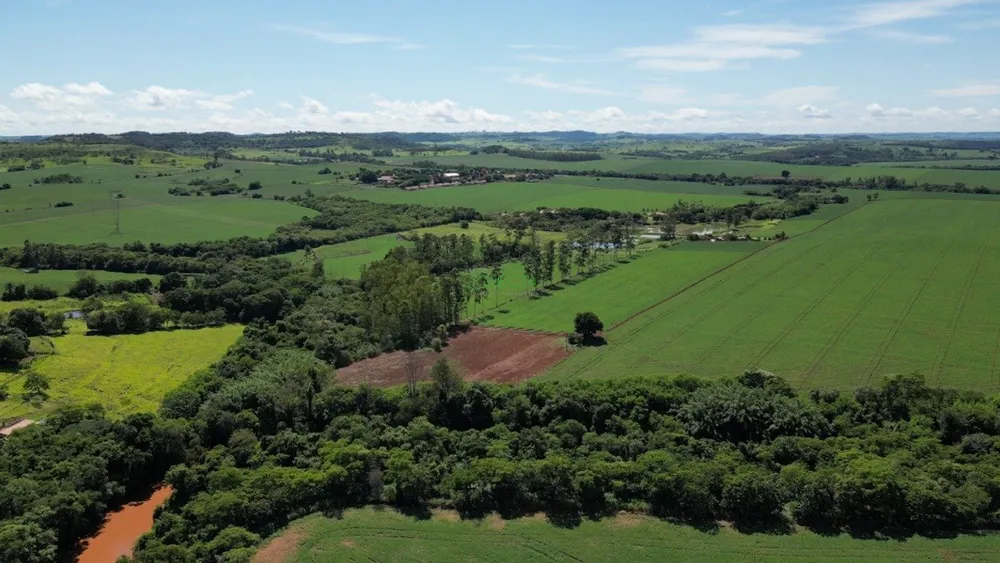 Fazenda, 34 hectares - Foto 10