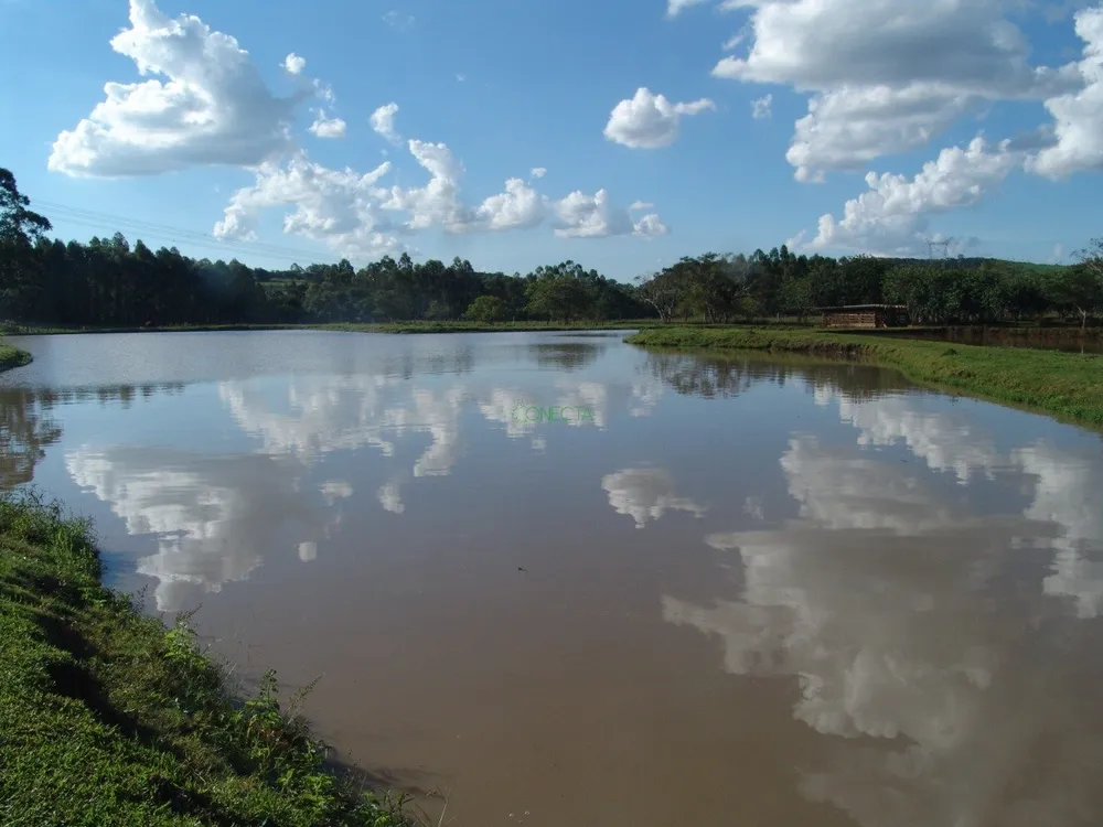 Fazenda, 34 hectares - Foto 4