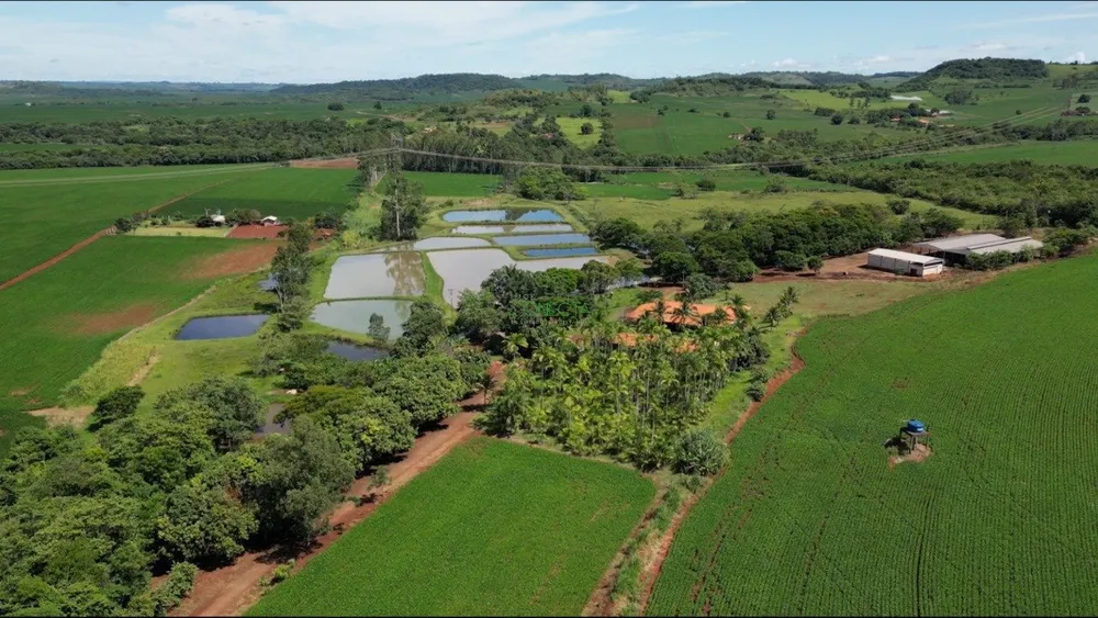 Fazenda, 34 hectares - Foto 7