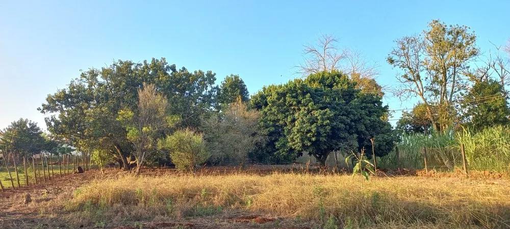 Chácara, 2 quartos, 6000 m² - Foto 3